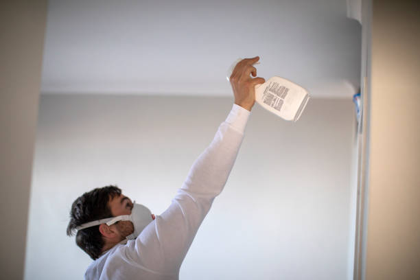 Best Attic Mold Removal  in Collinsville, OK
