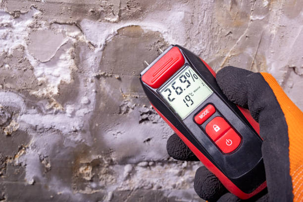 Best Emergency Mold Removal  in Collinsville, OK