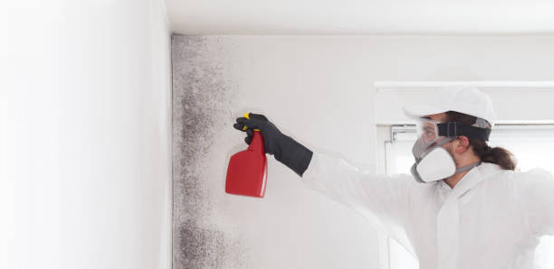 Best Mold Removal Process  in Collinsville, OK