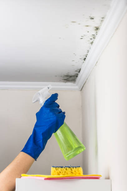 Attic Mold Removal in Collinsville, OK