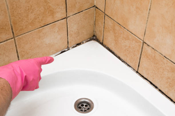Best Mold Testing  in Collinsville, OK